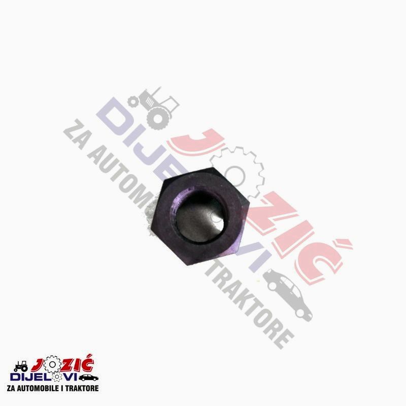 Daisy on the Ohoopee